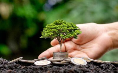 Creating a Greener Future with Sustainable Finance Practices