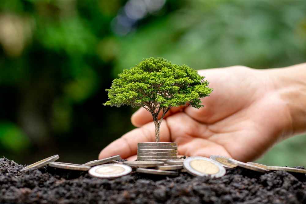 Creating a Greener Future with Sustainable Finance Practices