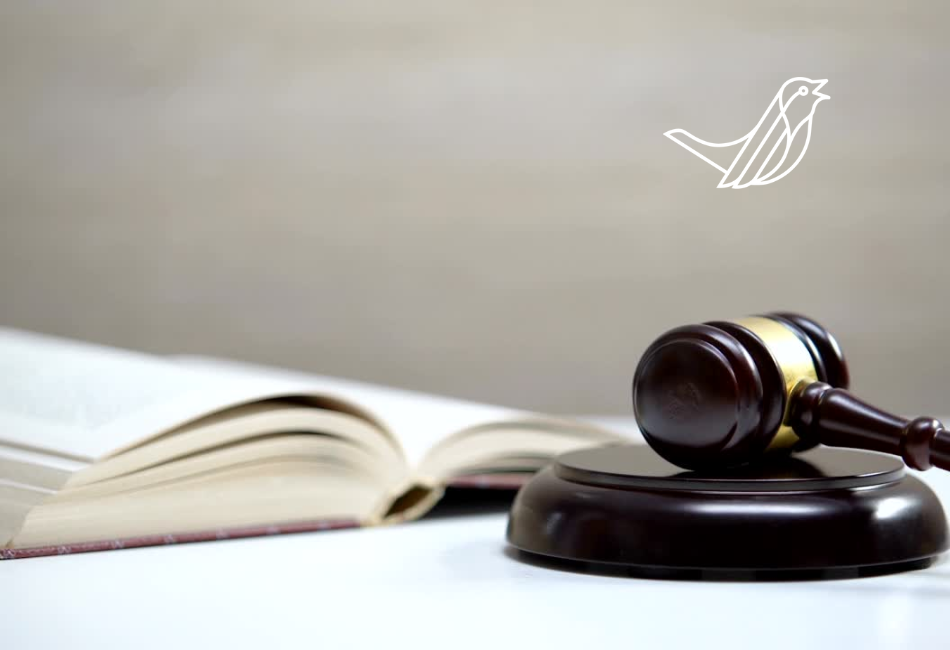 Programme Director Legal Education New Zealand