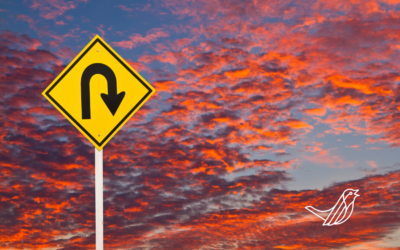 The Rise of the Returner: Why Accountants Are Moving Back to Public Practice