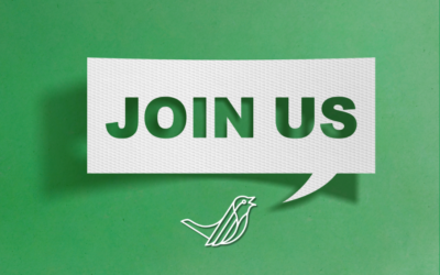 Join Tyler Wren: Recruitment Careers in Auckland and Christchurch