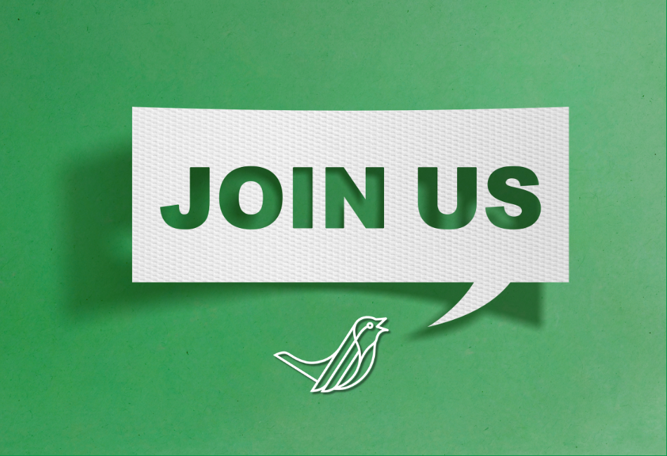 Join Tyler Wren: Recruitment Careers in Auckland and Christchurch